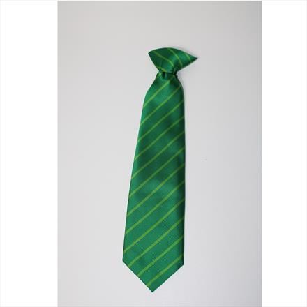 Chestnut House Tie (Y5 & 6)