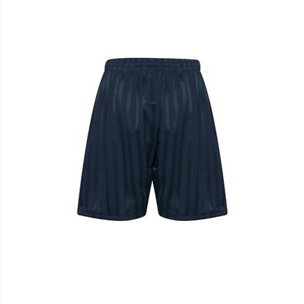 Navy Shadow Stripe P.E Shorts
