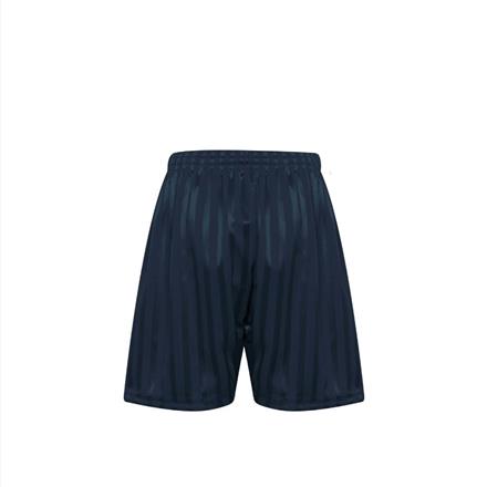 Navy Shadow Stripe P.E Shorts