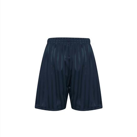 Navy Shadow Stripe P.E Shorts