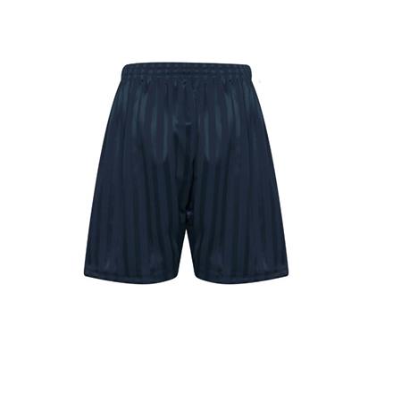 Navy Shadow Stripe P.E Shorts