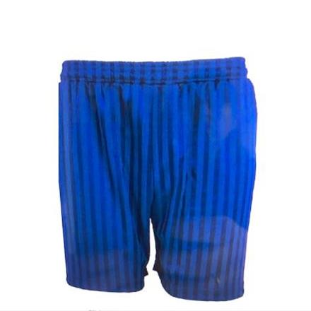 Royal Blue Shadow Stripe P.E Shorts