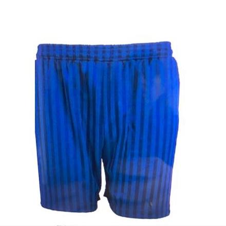 Royal Blue Shadow Stripe P.E Shorts