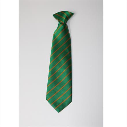 Birch House Tie (Y5 & 6)
