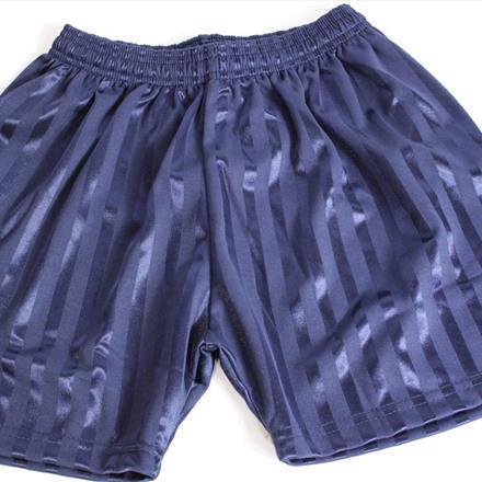 Shadow Stripe P.E Shorts Navy