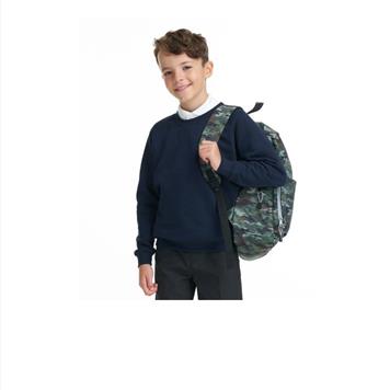 Navy Sweatshirt without logo (For P.E)