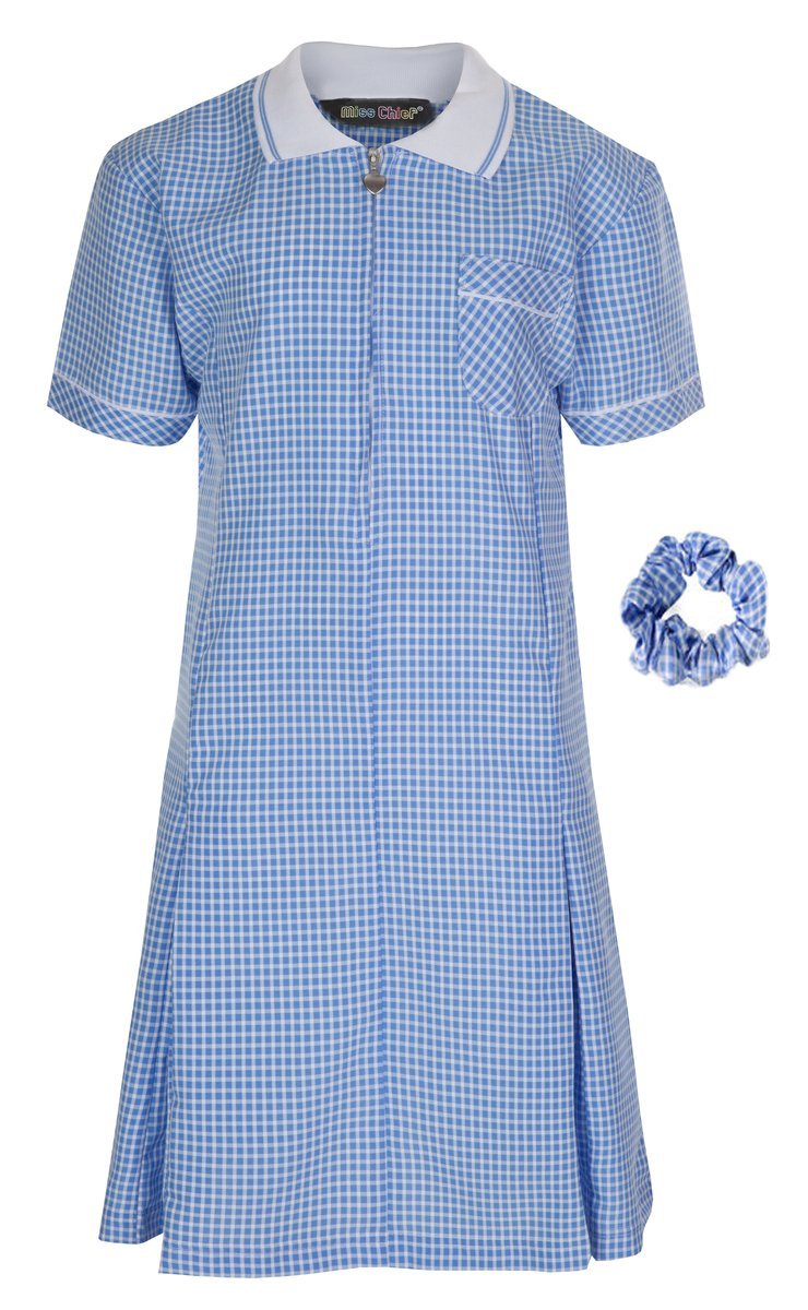 Sky Blue Summer Gingham Dress