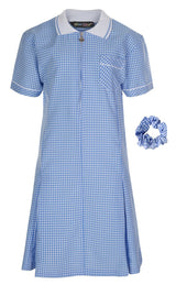 Sky Blue Summer Gingham Dress