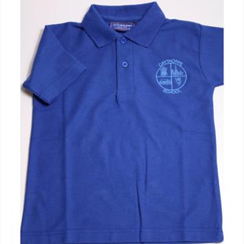 Royal Blue Polo Shirt with Logo Age 3-4