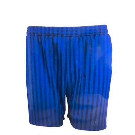 Royal Blue Shadow Stripe P.E Shorts - Waist 14-16" (Age 2-4)
