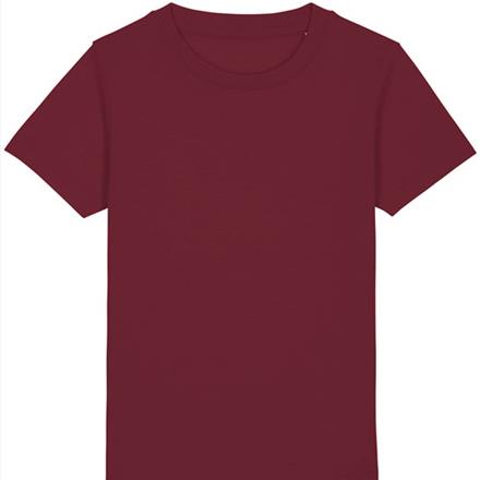Burgundy T Shirt with School Logo