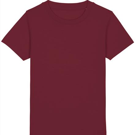 Burgundy P.E T Shirt with School Logo